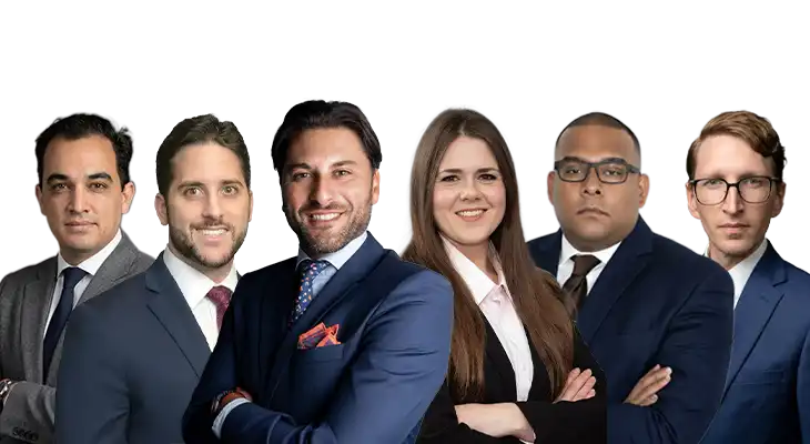 Windsor Troy Attorney Nest